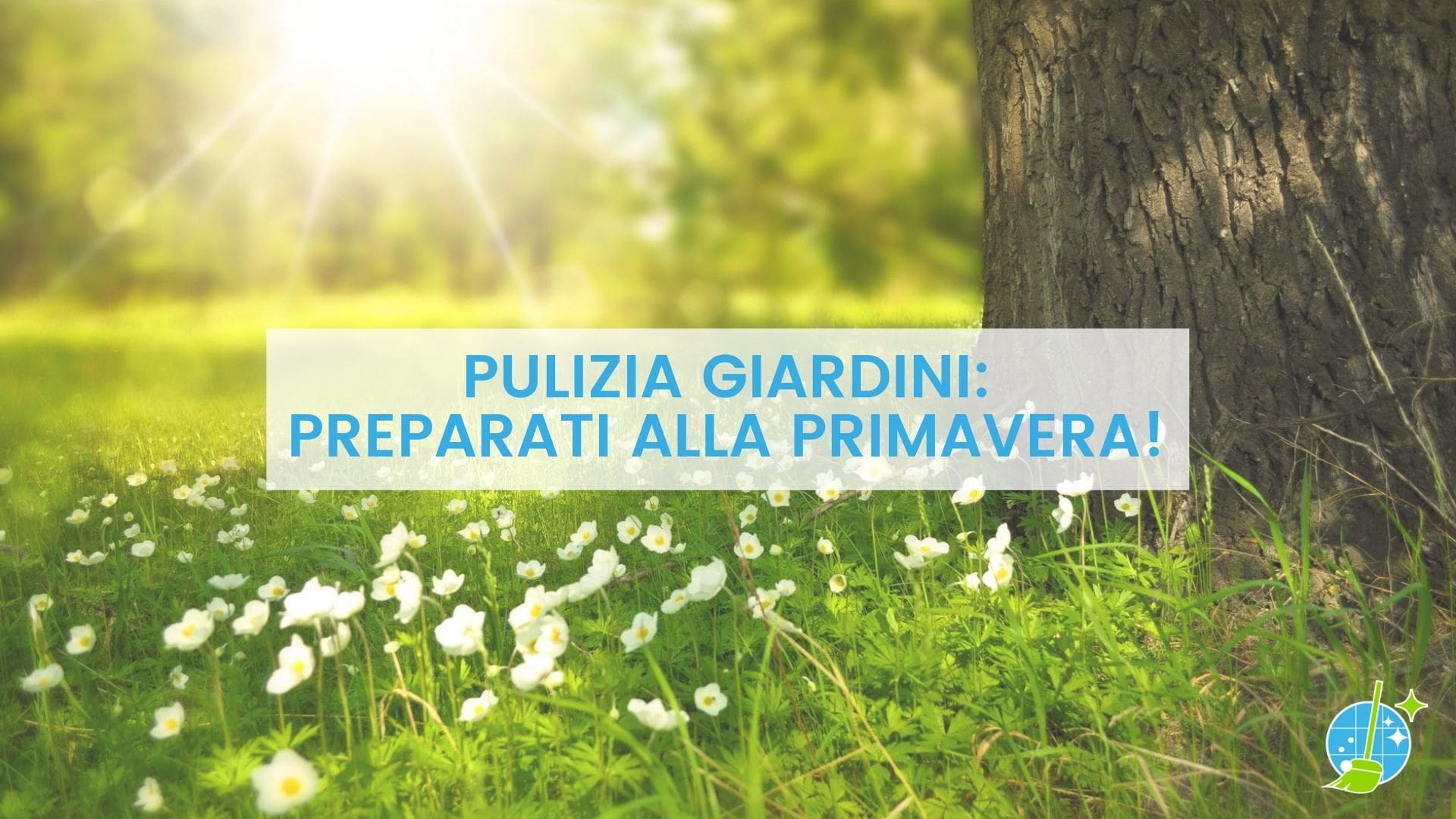 pulizia-giardini-la-magica.jpg